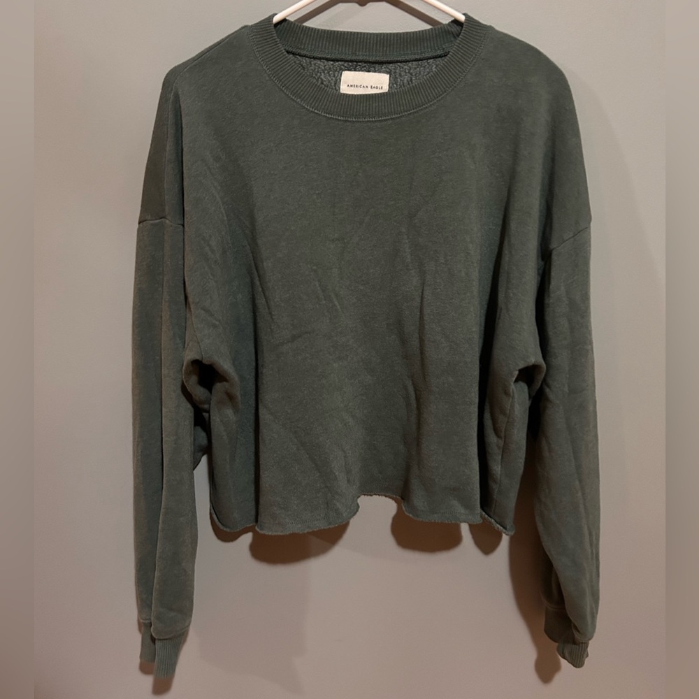 Cropped American Eagle Fleece Pullover